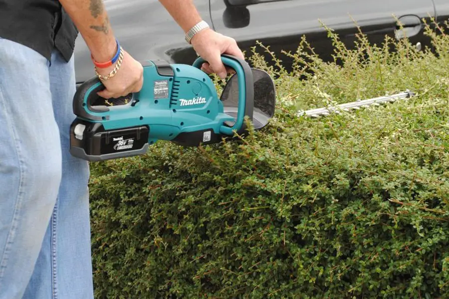 the best electric hedge trimmer