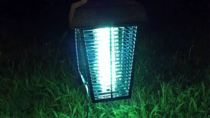 Mosquito Trap Flowtron