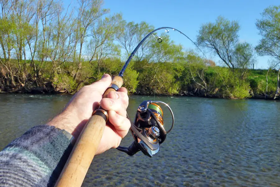 Fishing Rod and Reel Combo Review