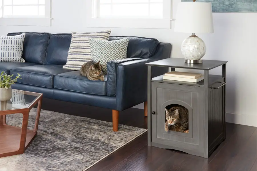 55 Best Photos Best Cat Birthing Box : The best odor-free cat litter boxes | Pets | madison.com