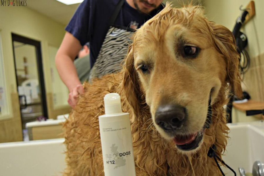 best smelling dog spray