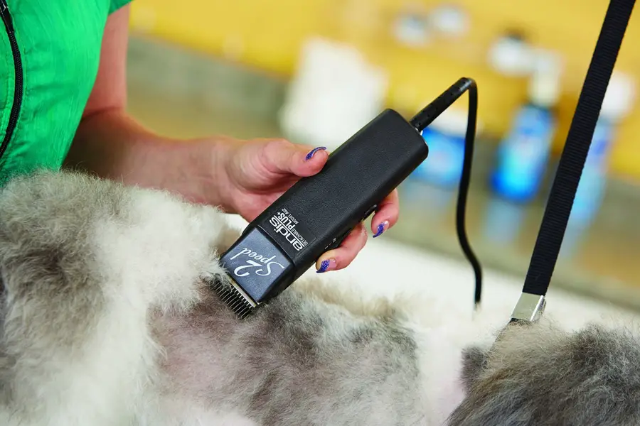 best rated dog clippers