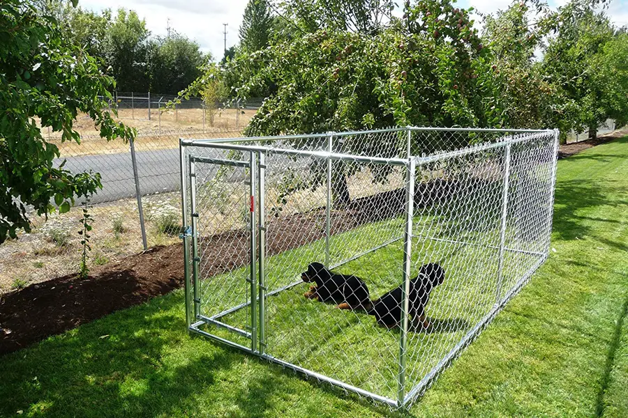 best rated dog kennels near me