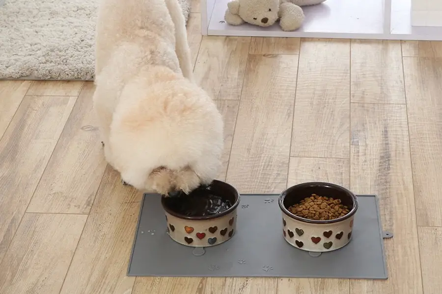 Dog Placemat 2