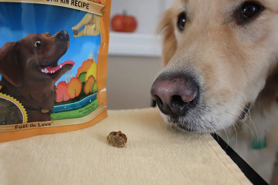 top rated dog treats