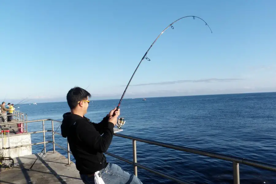 Fishing Rod 1