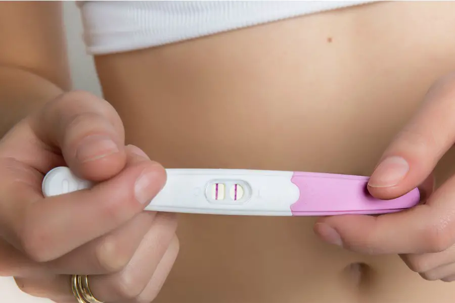 Pregnancy Test 3