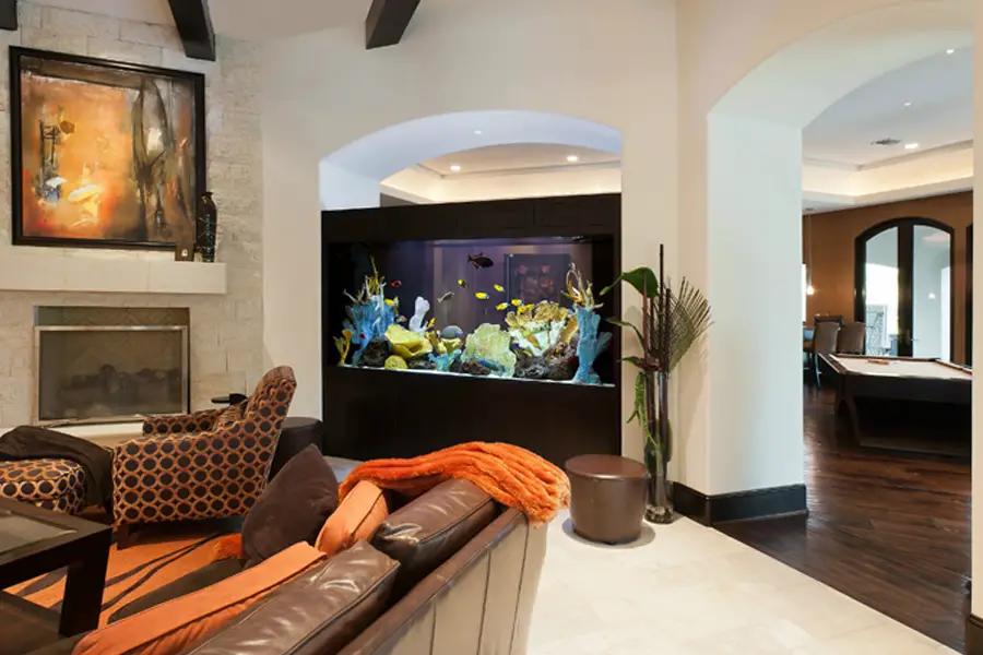 2019 best aquariums reviews