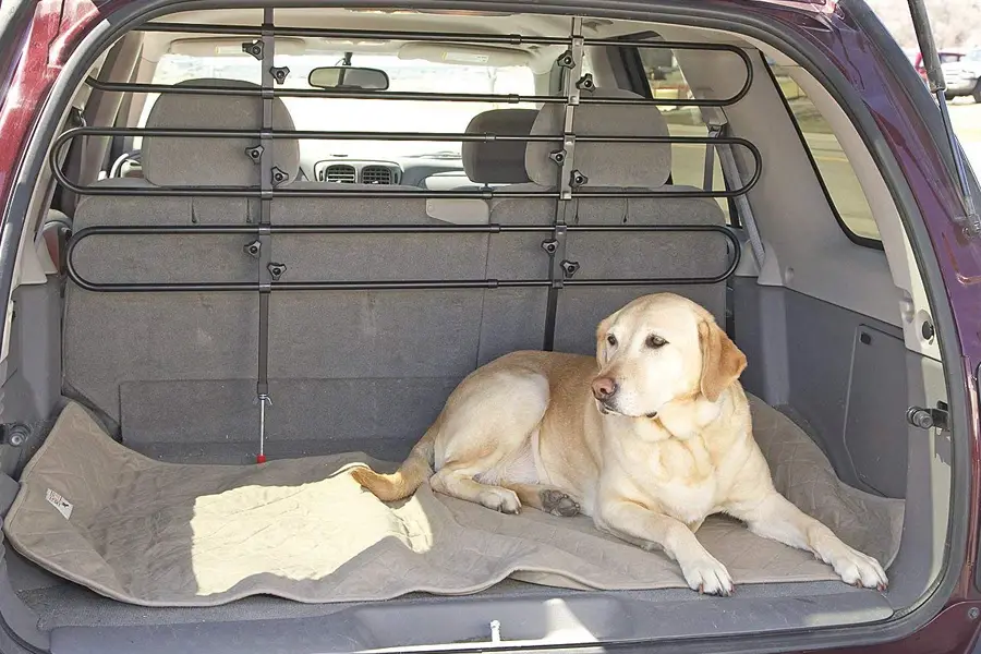 rear seat dog guard