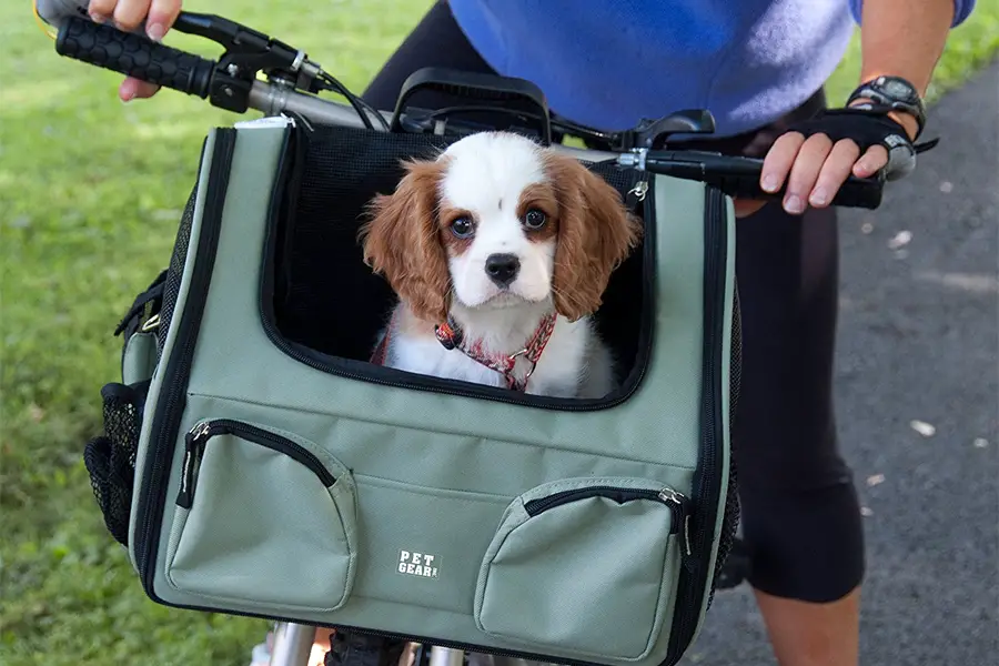 front bike dog carrier