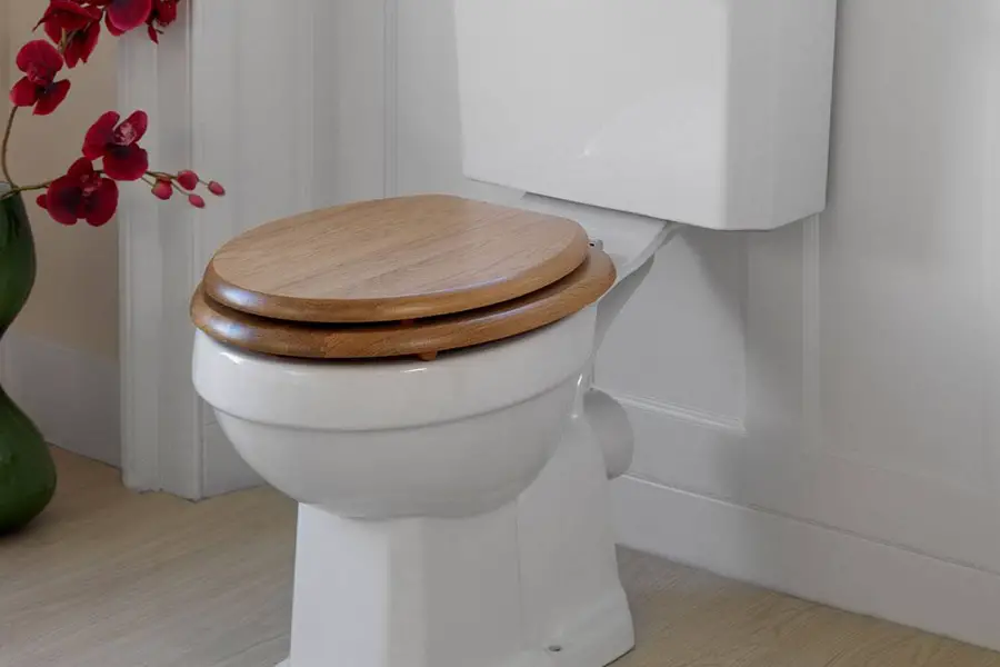 Toilet Seat 6