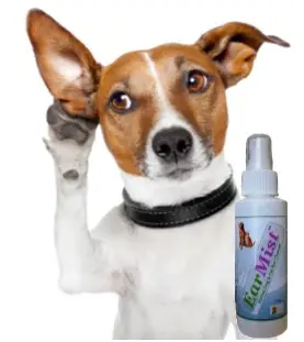 Best Dog Food For Ear Infections Best Dog Food For Ear Infections