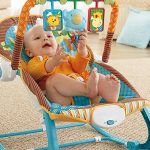Baby Bouncer Reviews