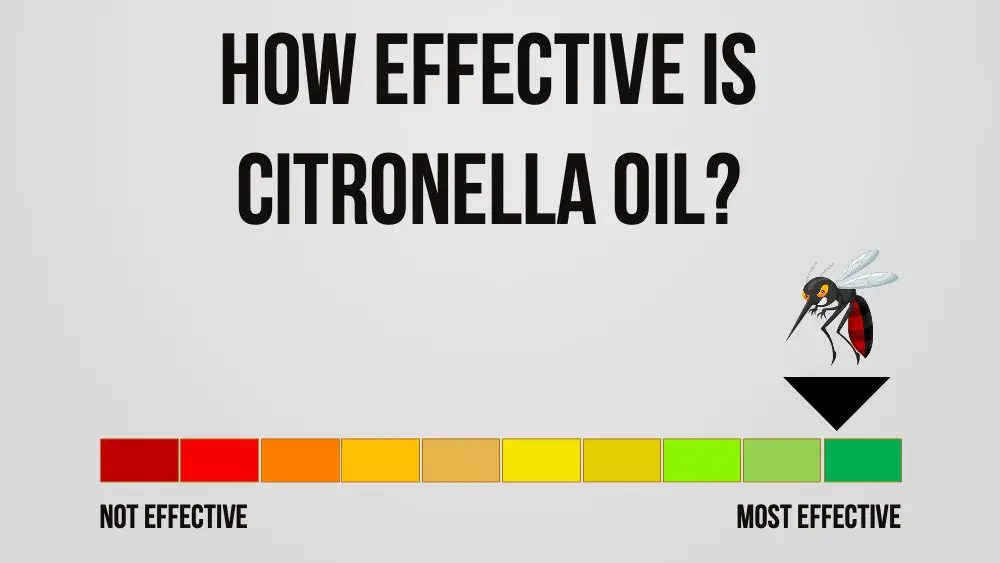 citronella oil repels mosquitos