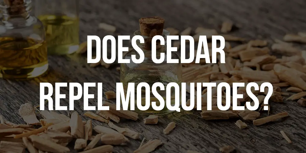 does cedar repel mosquitoes