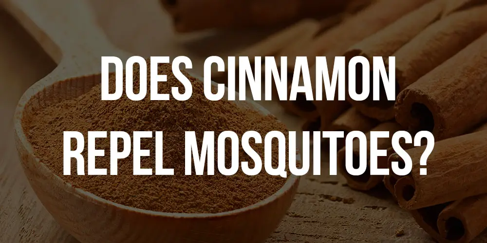 does cinnamon repel mosquitoes
