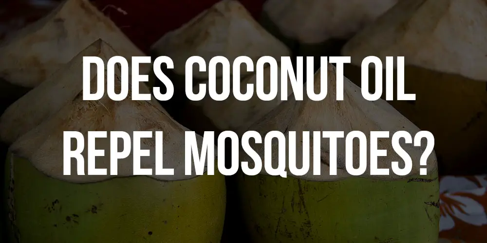 does coconut oil repel mosquitoes
