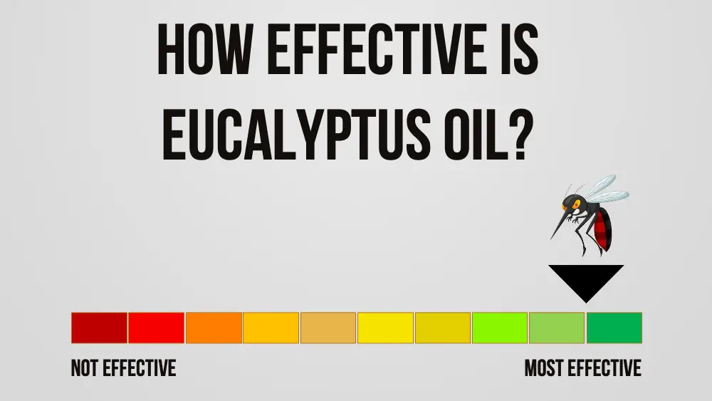 does eucalyptus oil repel mosquitoes