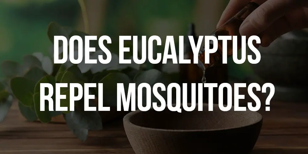 does eucalyptus repel mosquitoes