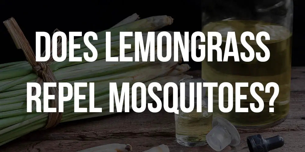 does lemongrass repel mosquitoes