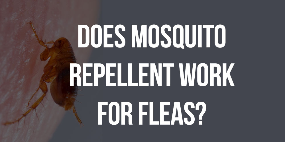does mosquito repellent work for fleas