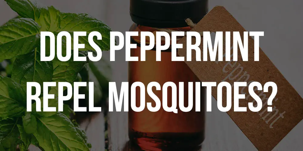 does peppermint repel mosquitoes