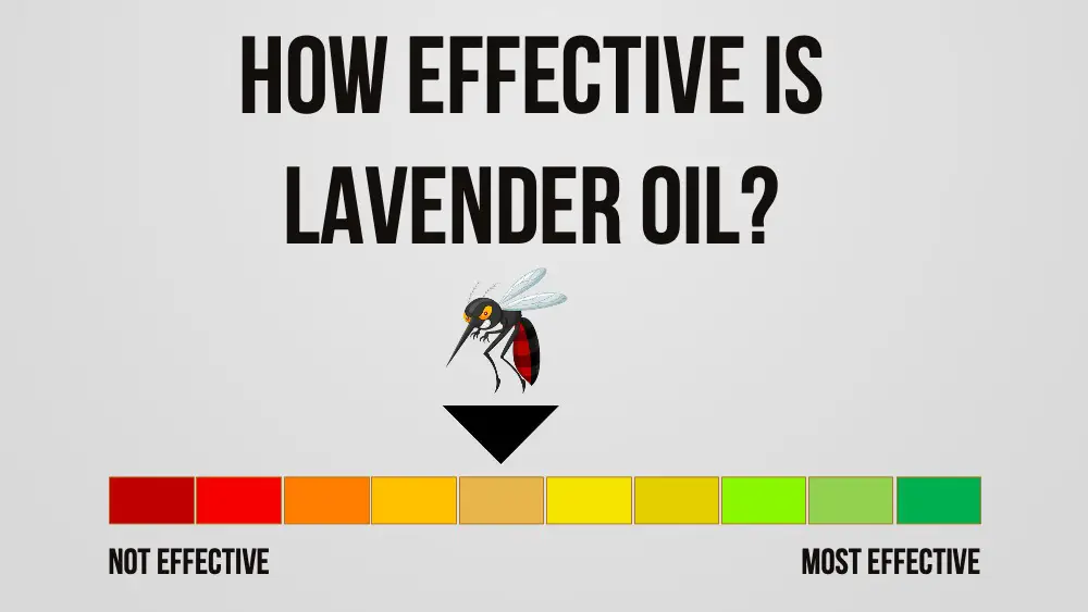 how effective is lavender oil for mosquitoes