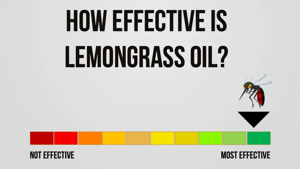 lemon grass repels mosquitoes