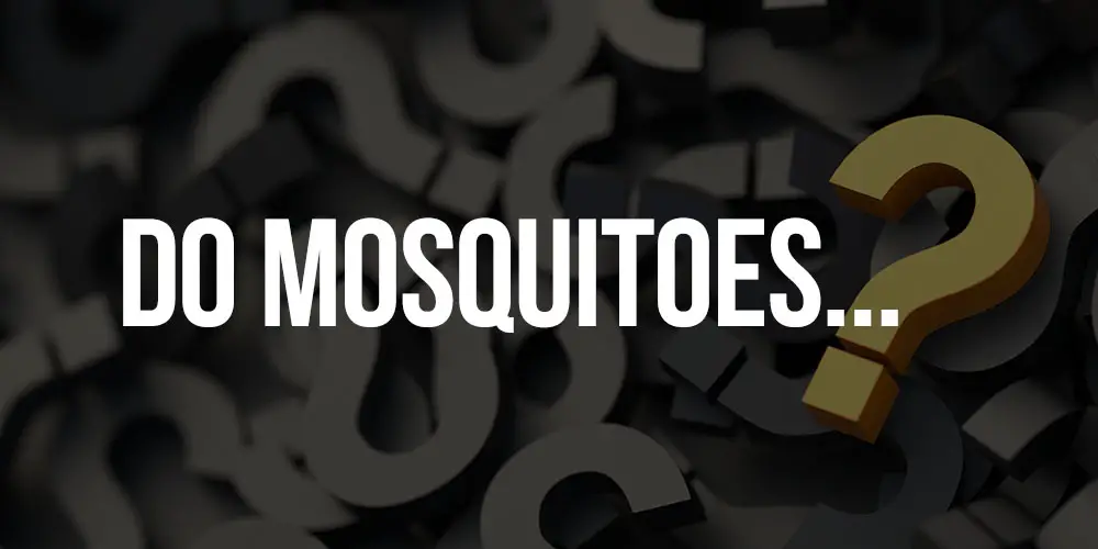 mosquito qustions