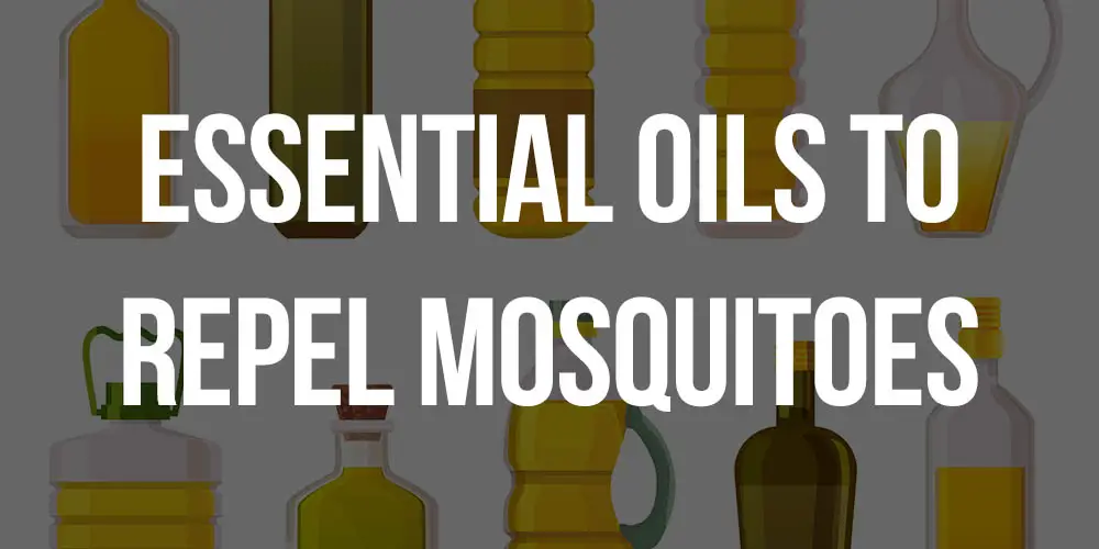 what essential oils repel mosquitoes