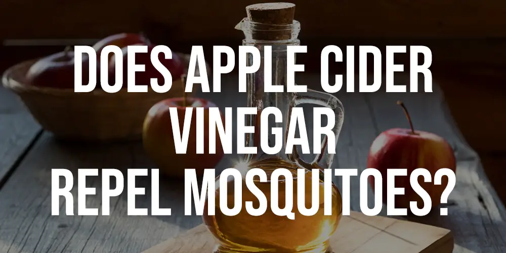Does Apple Cider Vinegar Repel Mosquitoes