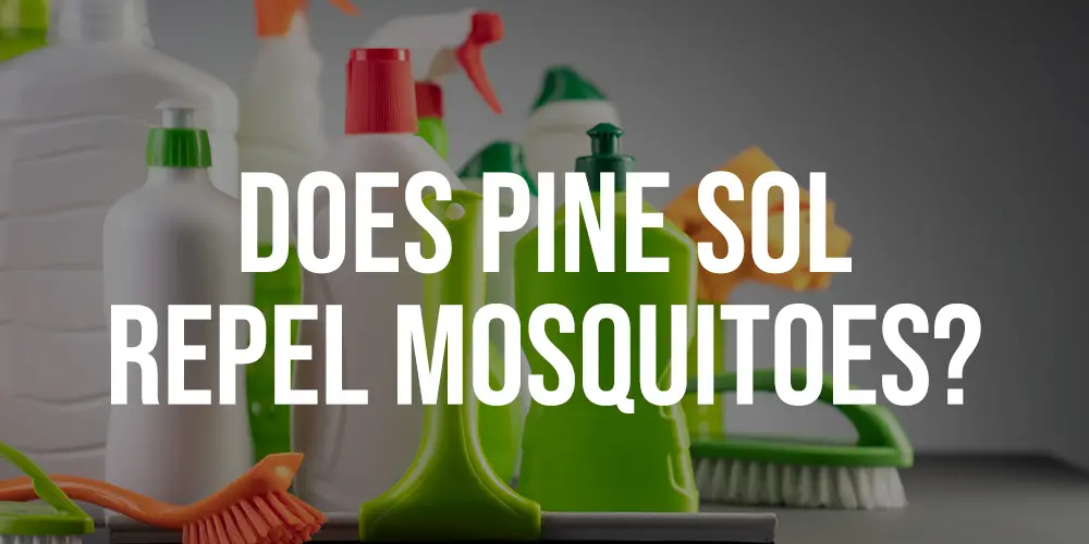 Does Pine Sol Repel Mosquitoes