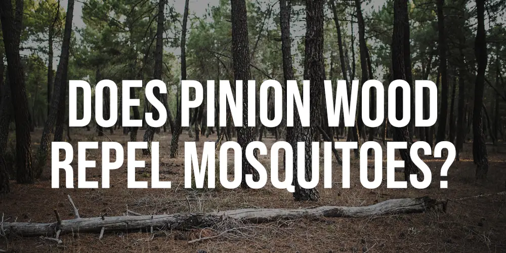 Does Pinion Wood Repel Mosquitoes
