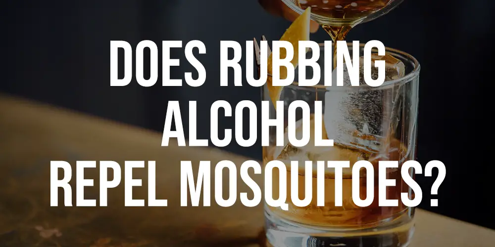 Does Rubbing Alcohol Repel Mosquitoes
