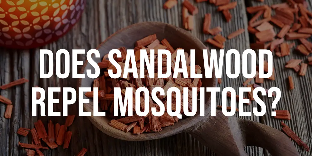 Does Sandalwood Repel Mosquitoes
