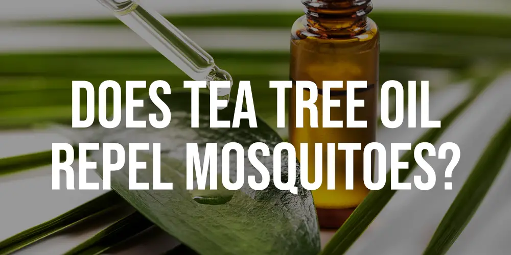 Does Tea Tree Oil Repel Mosquitoes