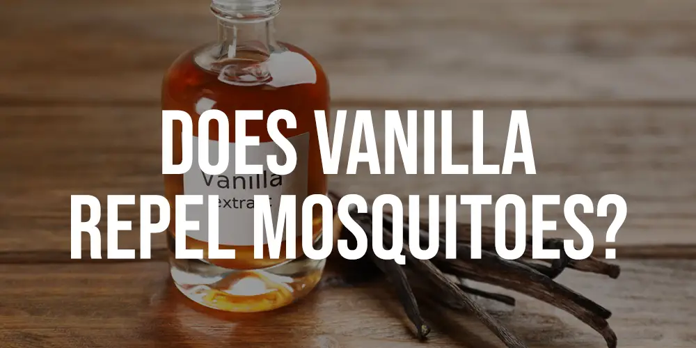Does Vanilla Repel Mosquitoes