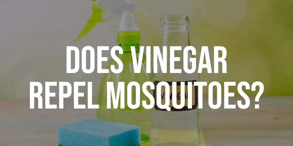 Does Vinegar Repel Mosquitoes
