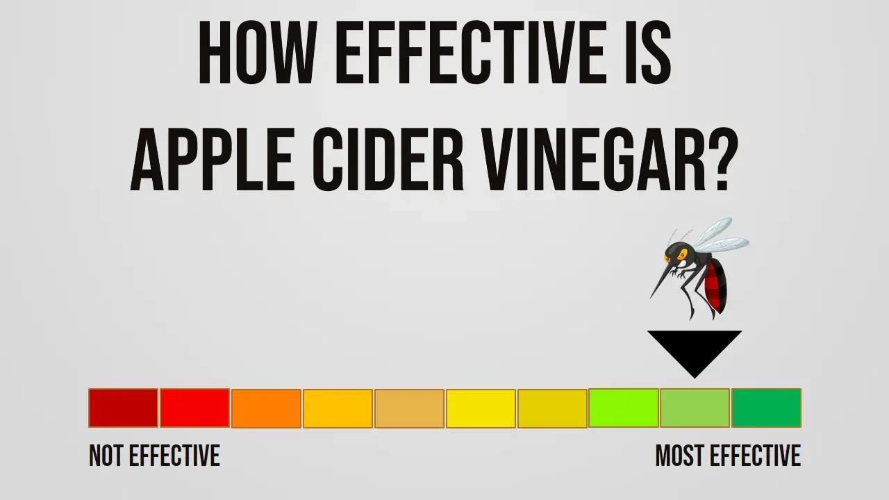 How Effective is Apple Cider Vinegar Repelling Mosquitoes