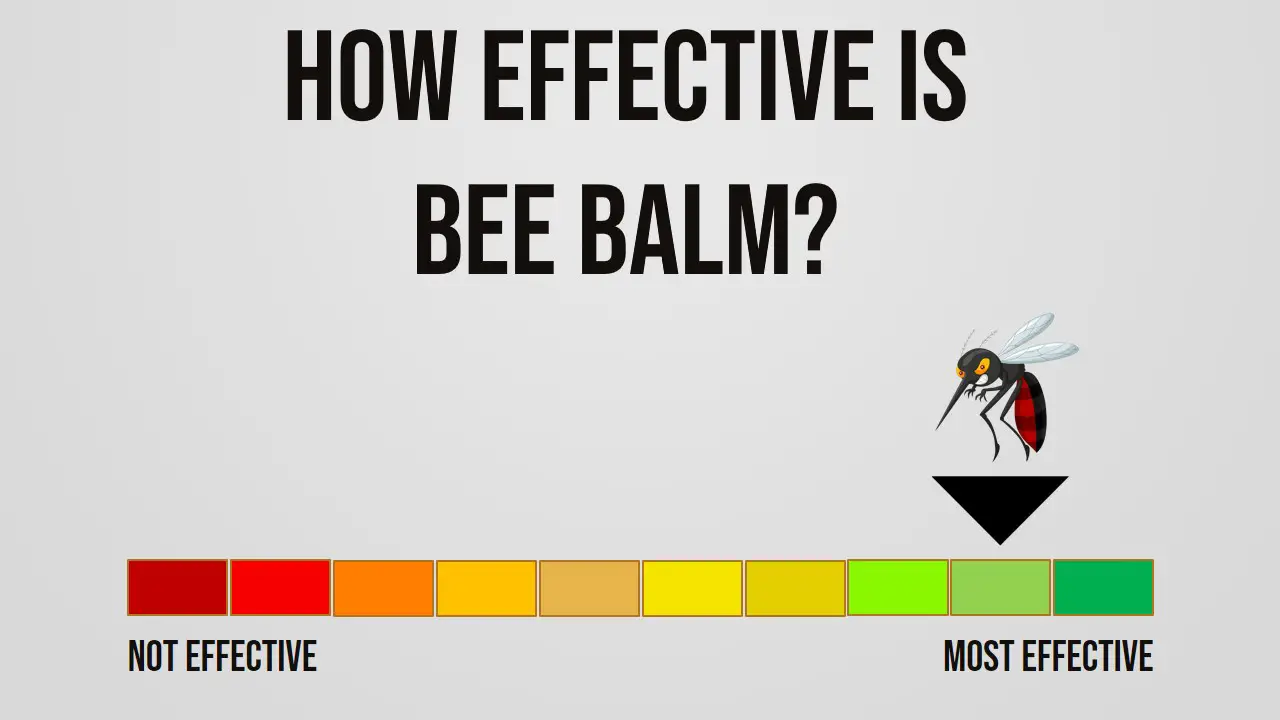 How Effective is Bee Balm Repelling Mosquitoes