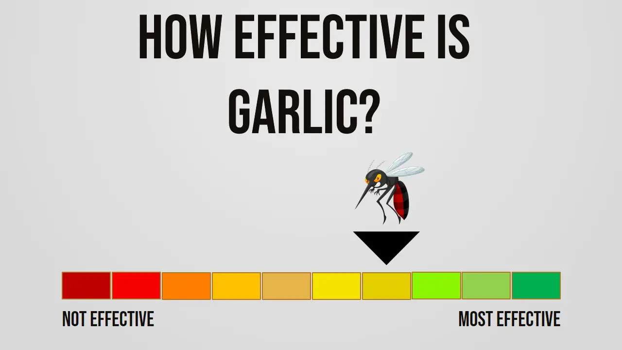 How Effective is Garlic Repelling Mosquitoes