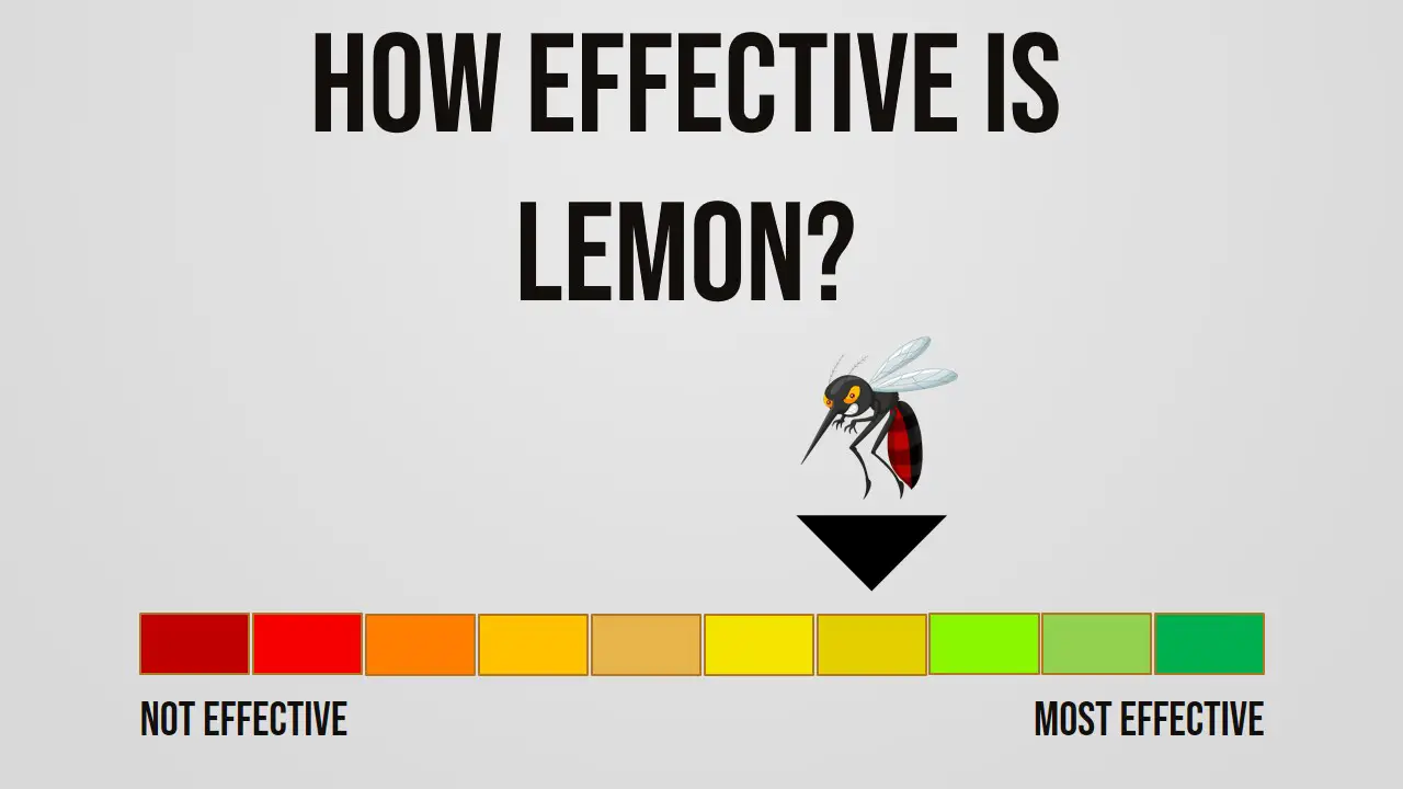 How Effective is Lemon Repelling Mosquitoes