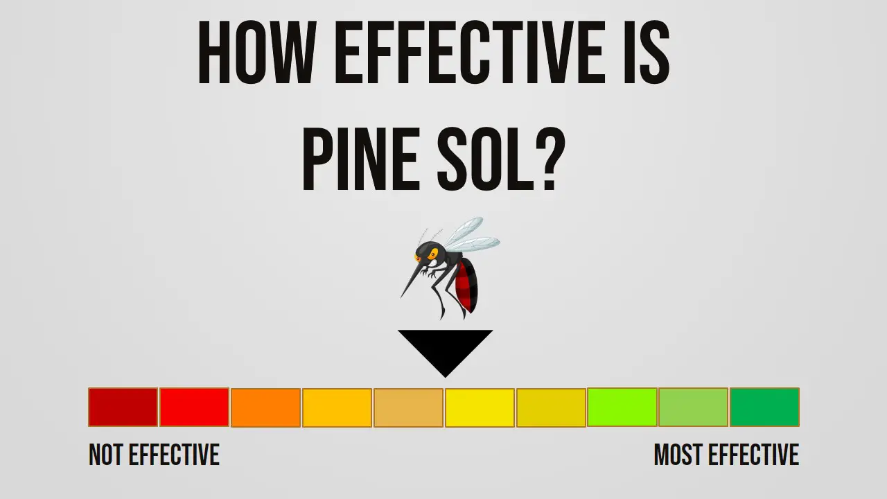 How Effective is Pine Sol Repelling Mosquitoes