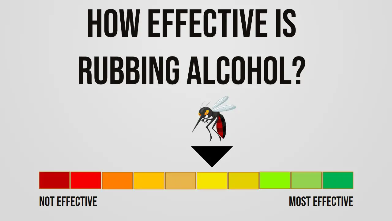 How Effective is Rubbing Alcohol Repelling Mosquitoes