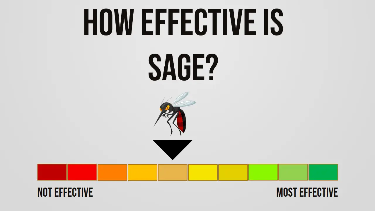 How Effective is Sage Repelling Mosquitoes