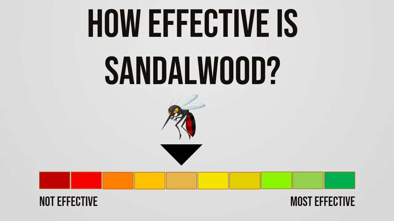How Effective is Sandalwood Repelling Mosquitoes