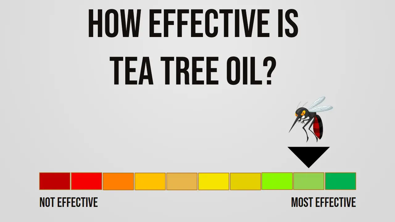 How Effective is Tea Tree Oil Repelling Mosquitoes