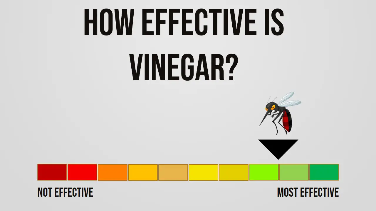 How Effective is Vinegar Repelling Mosquitoes